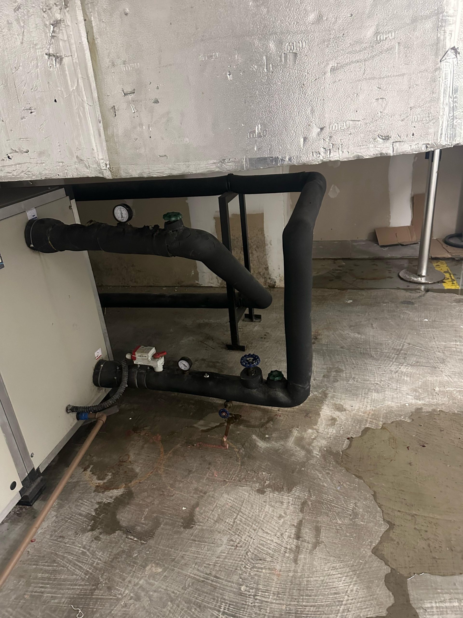 WhatsApp Image 2025-07-08 at 7.29.26 PM (2)