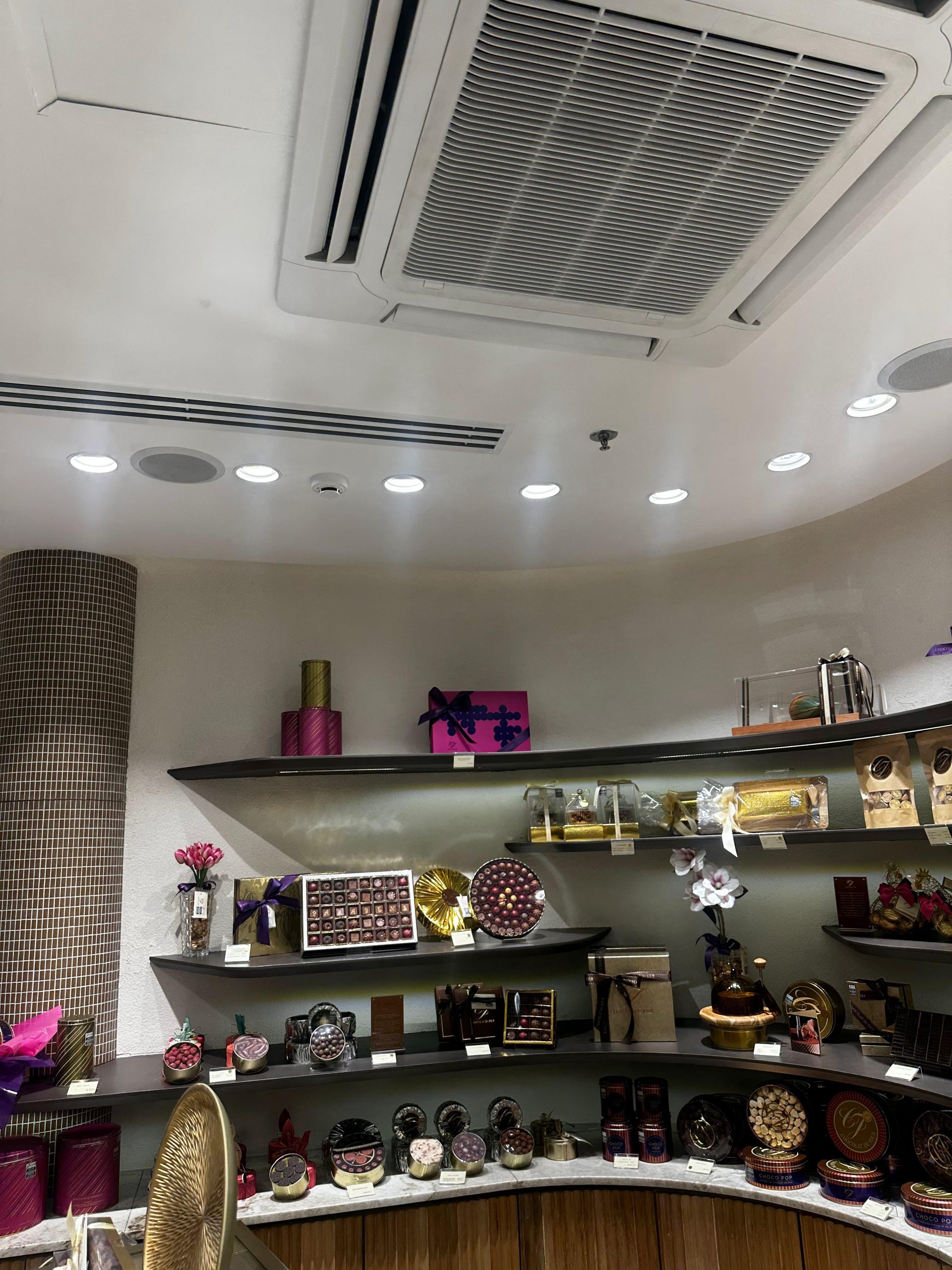 WhatsApp Image 2025-07-08 at 7.30.02 PM