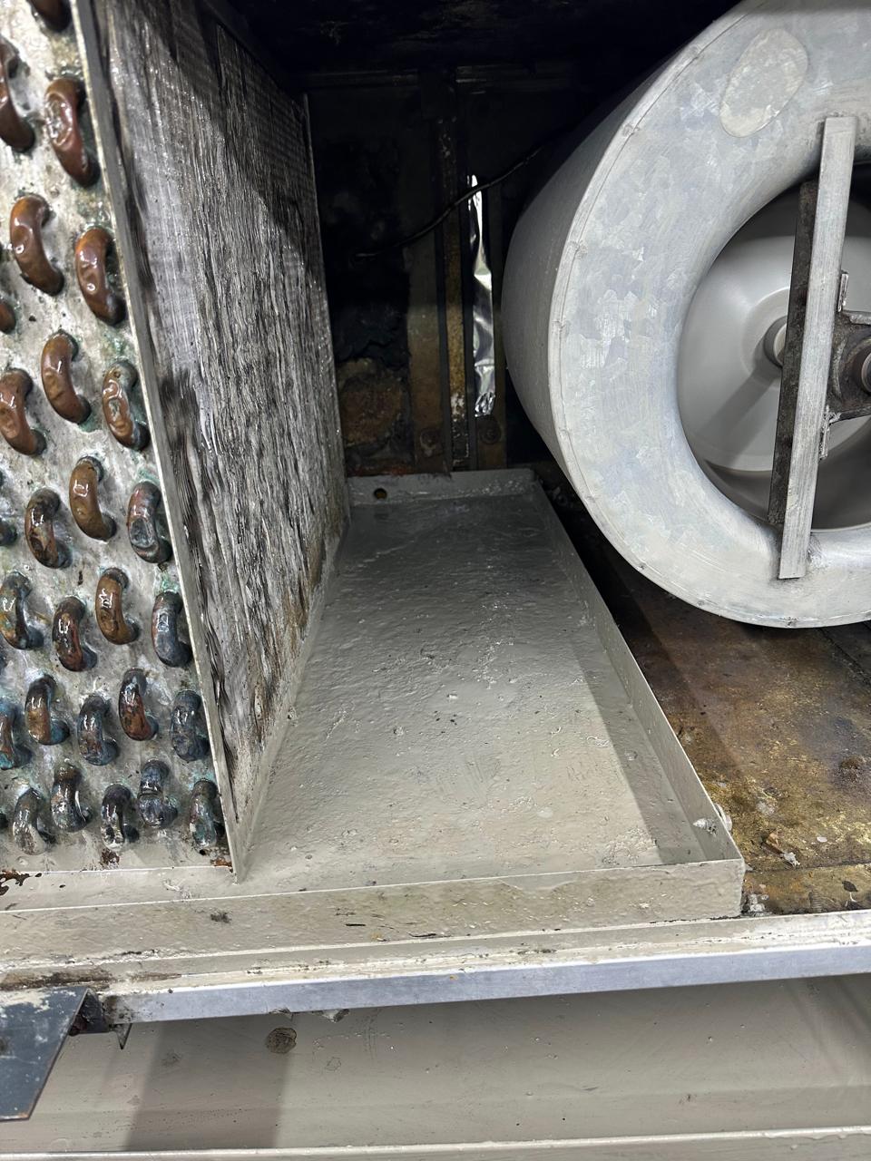 WhatsApp Image 2025-07-08 at 7.30.39 PM