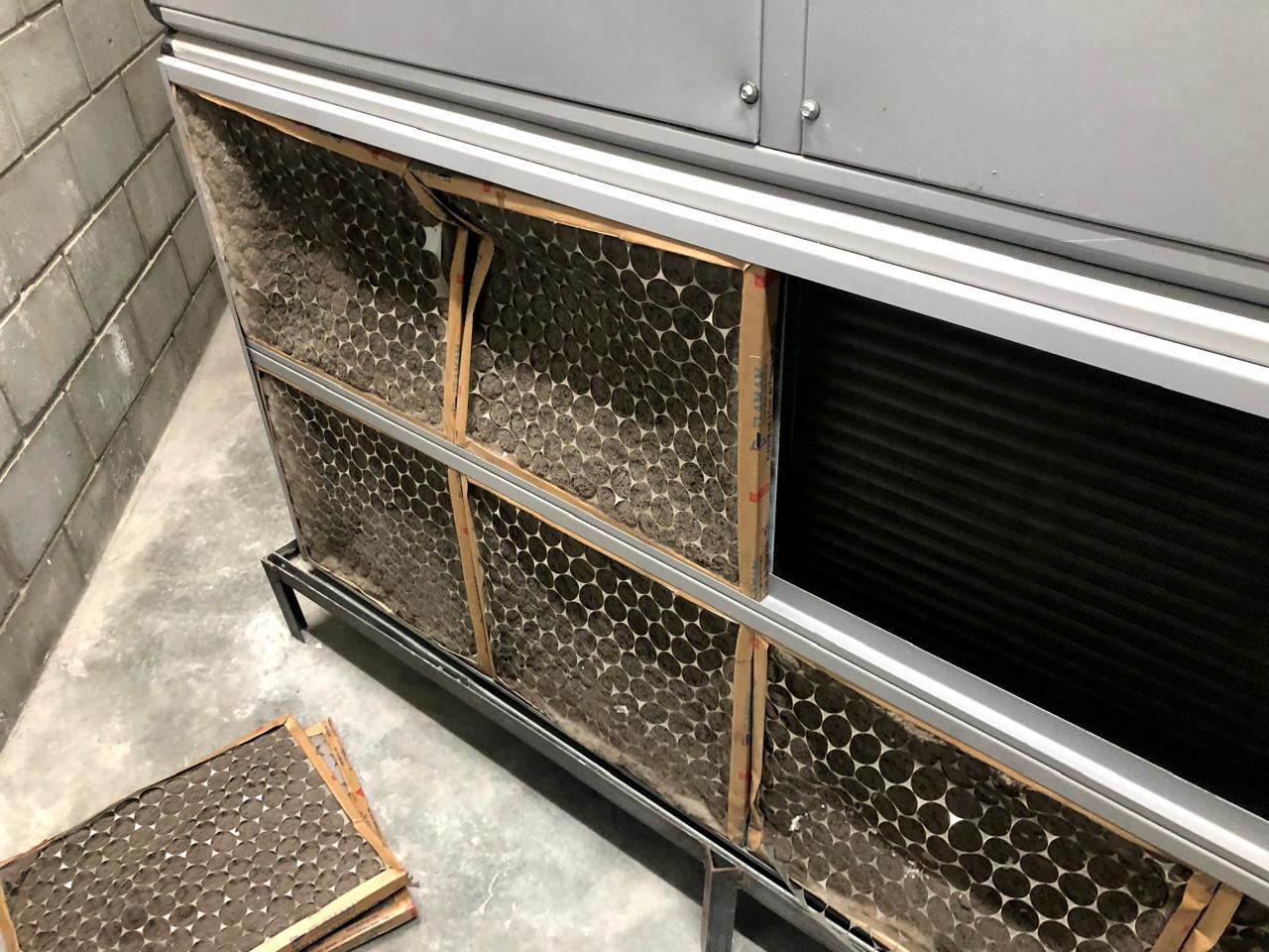 WhatsApp Image 2025-07-08 at 7.32.42 PM (1)