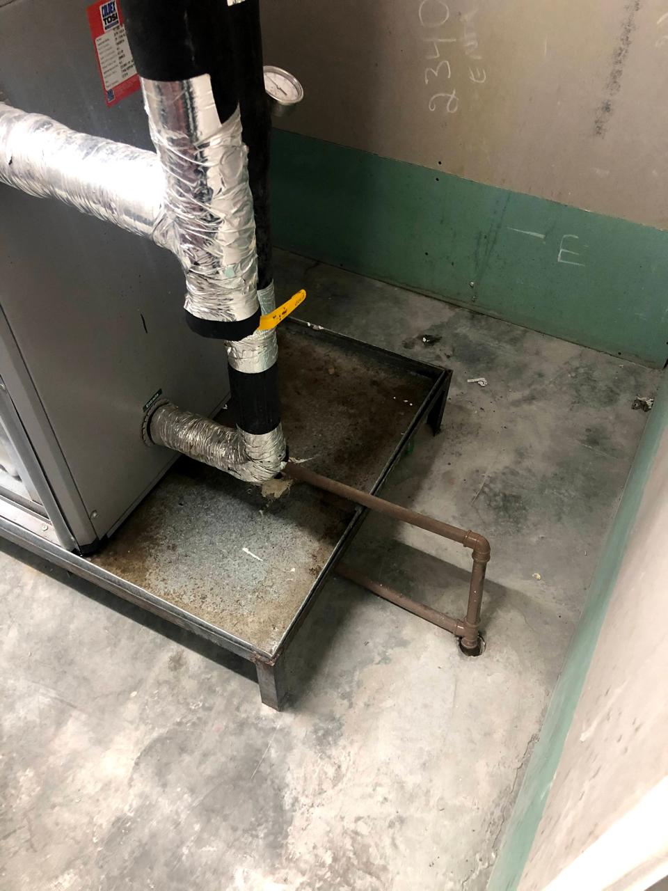 WhatsApp Image 2025-07-08 at 7.32.43 PM (1)